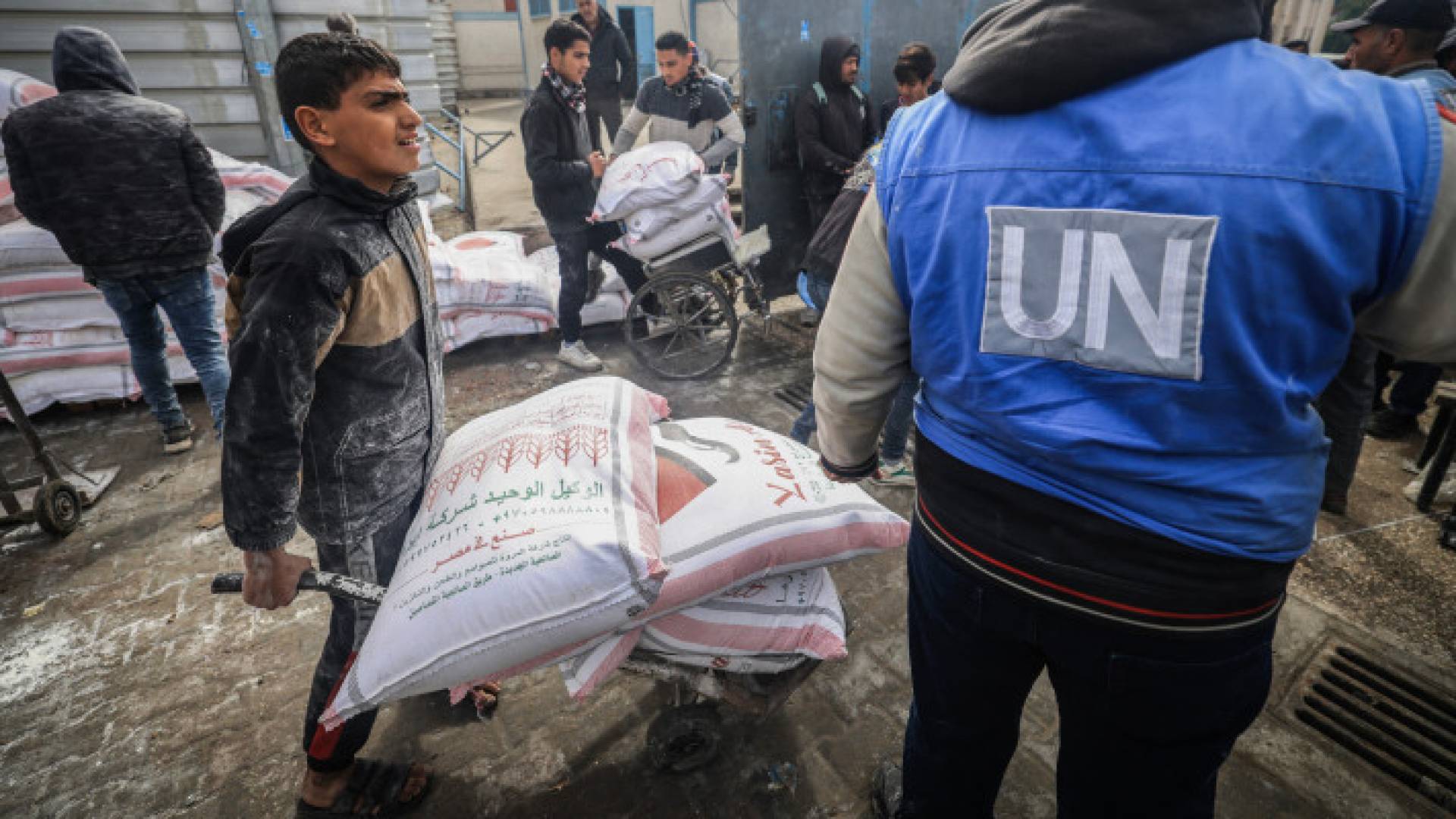 Image 1 from gallery