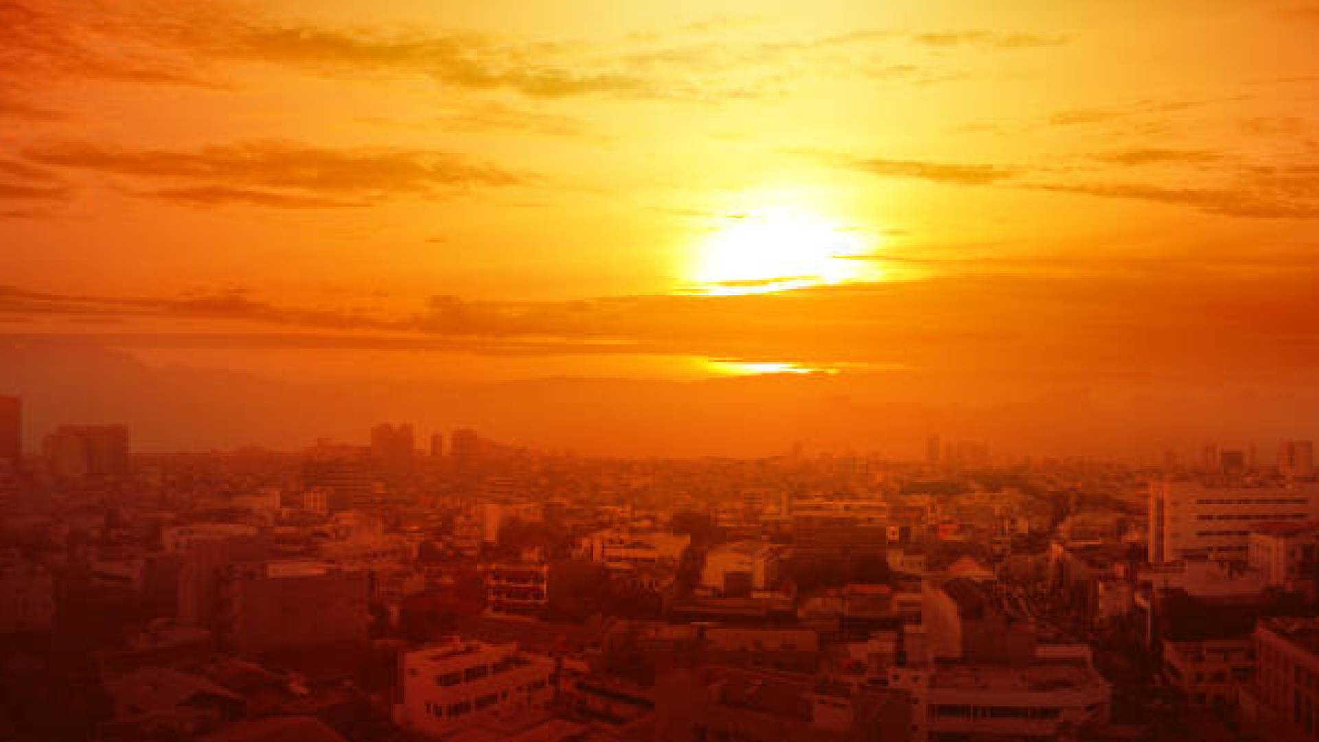 Image 1 from gallery