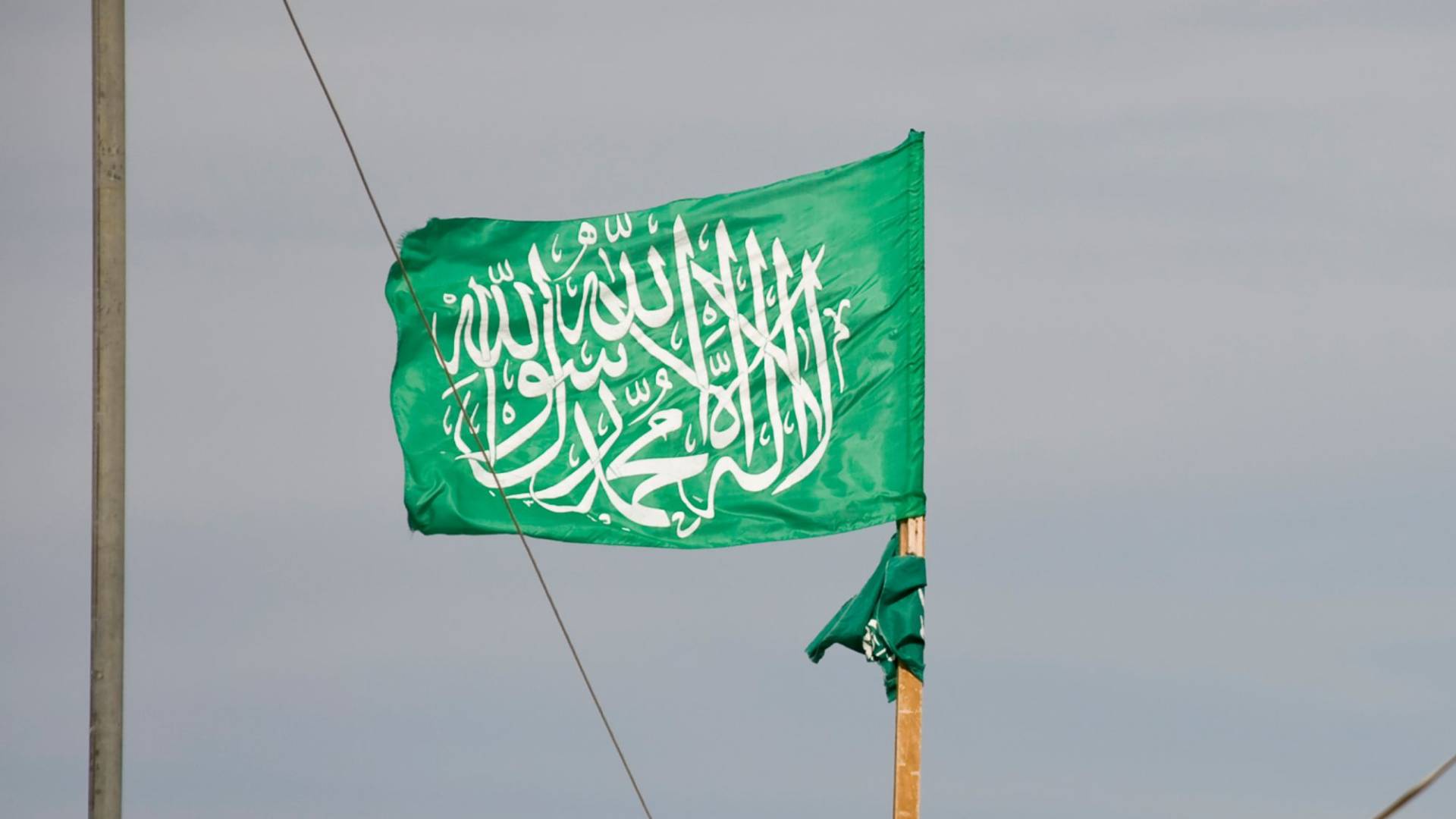 Image 1 from gallery