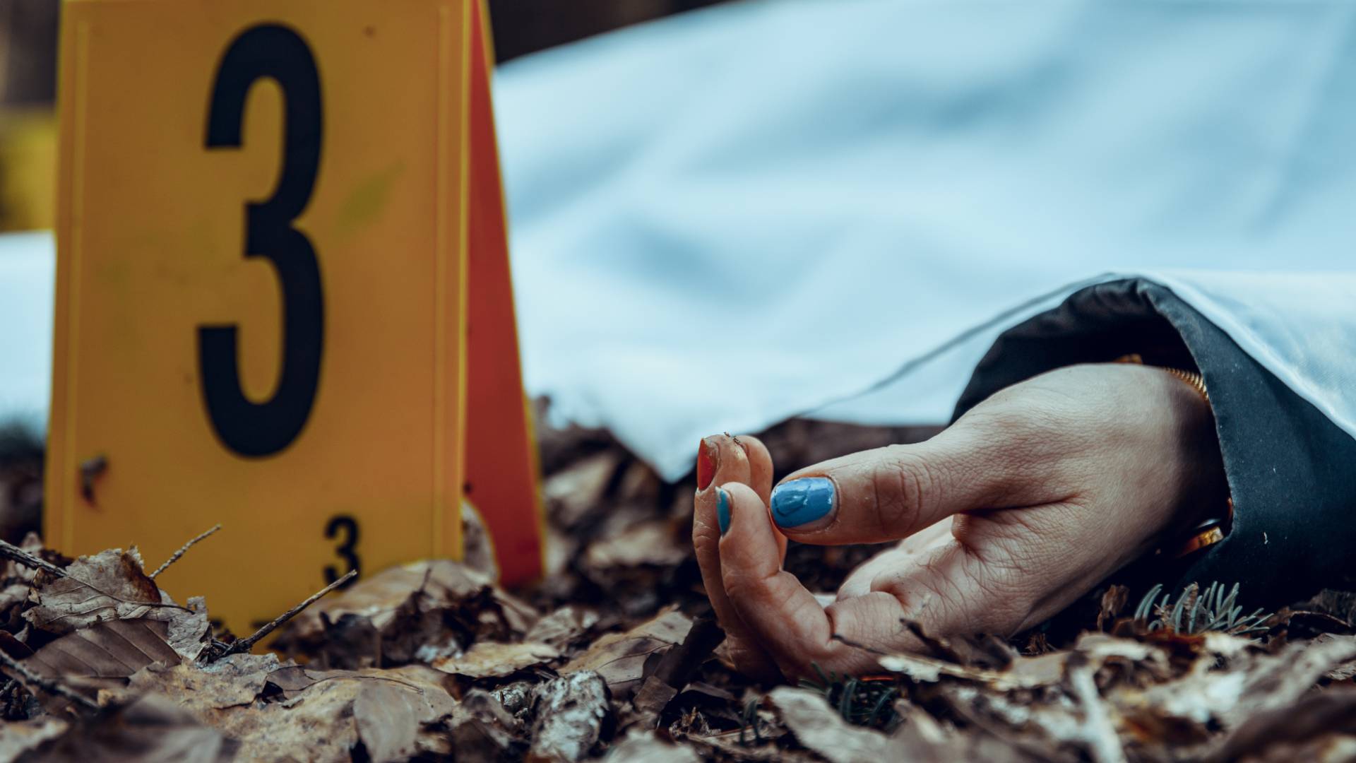 Image 1 from gallery