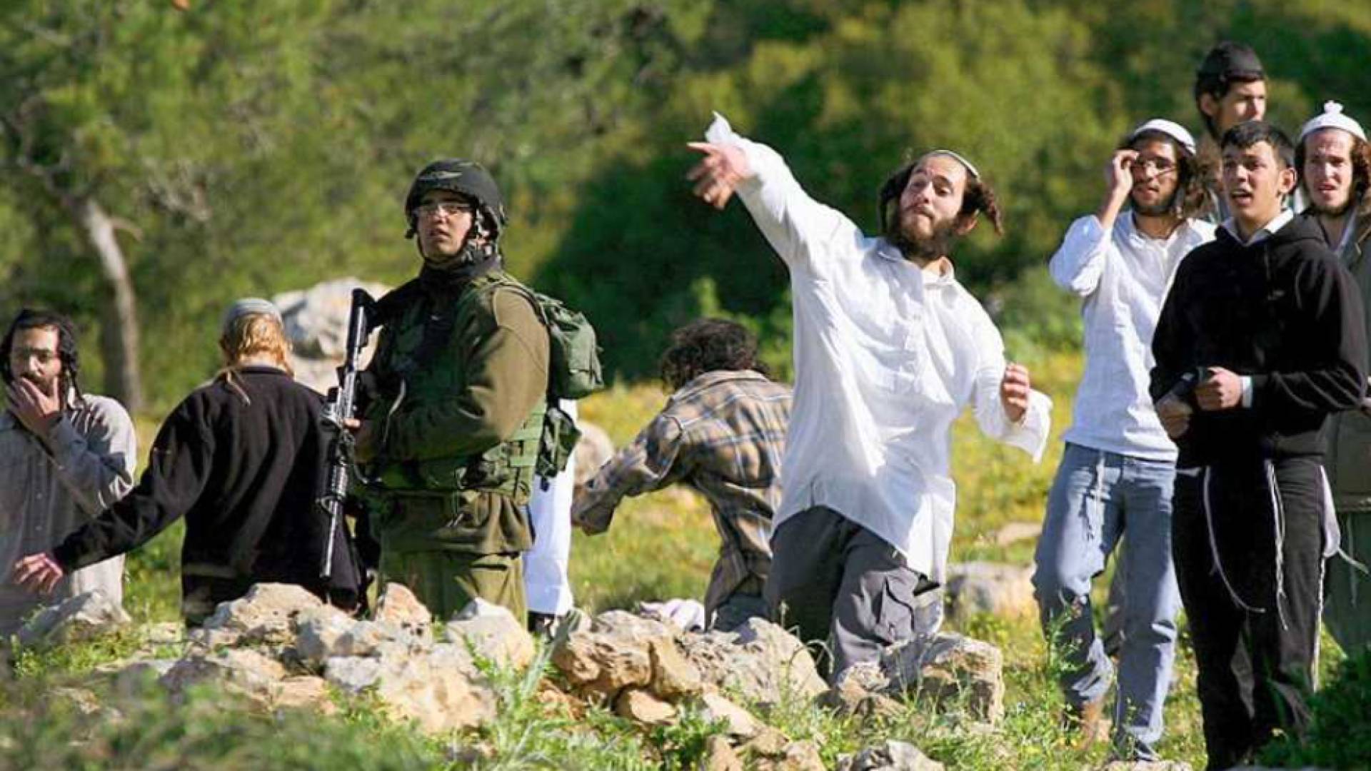 Image 1 from gallery