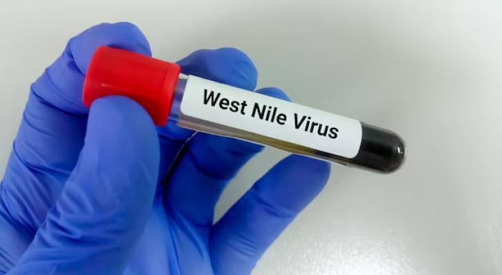 New details emerge on Jordan’s first West Nile Fever case