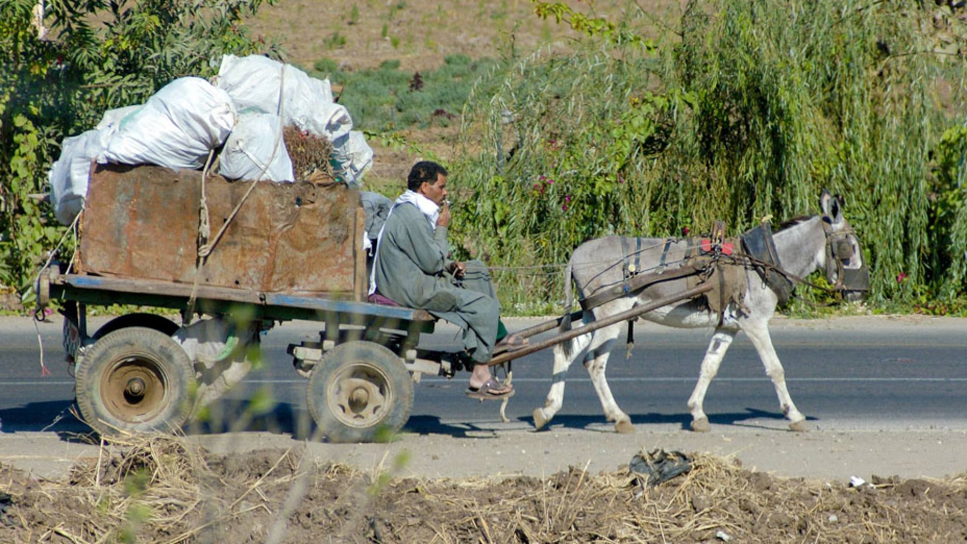 Image 1 from gallery