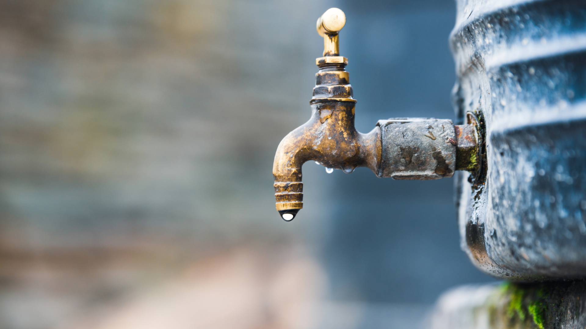 Image 1 from gallery