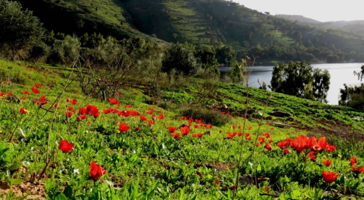 Slight changes in temperature expected over weekend in Jordan