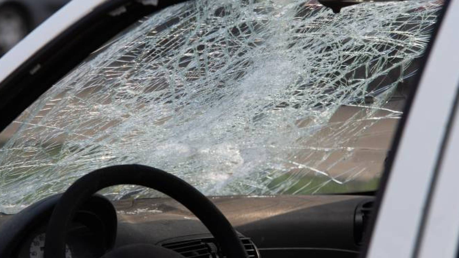 Image 1 from gallery