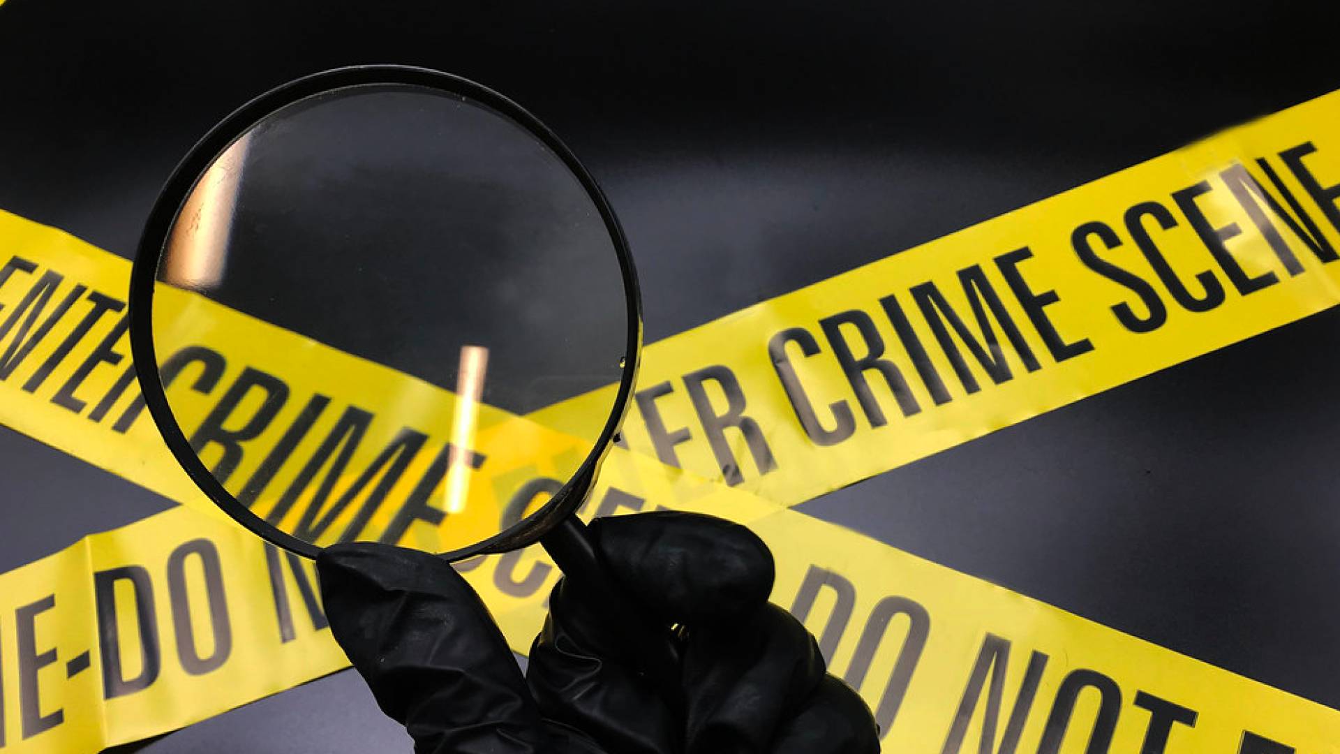 Image 1 from gallery