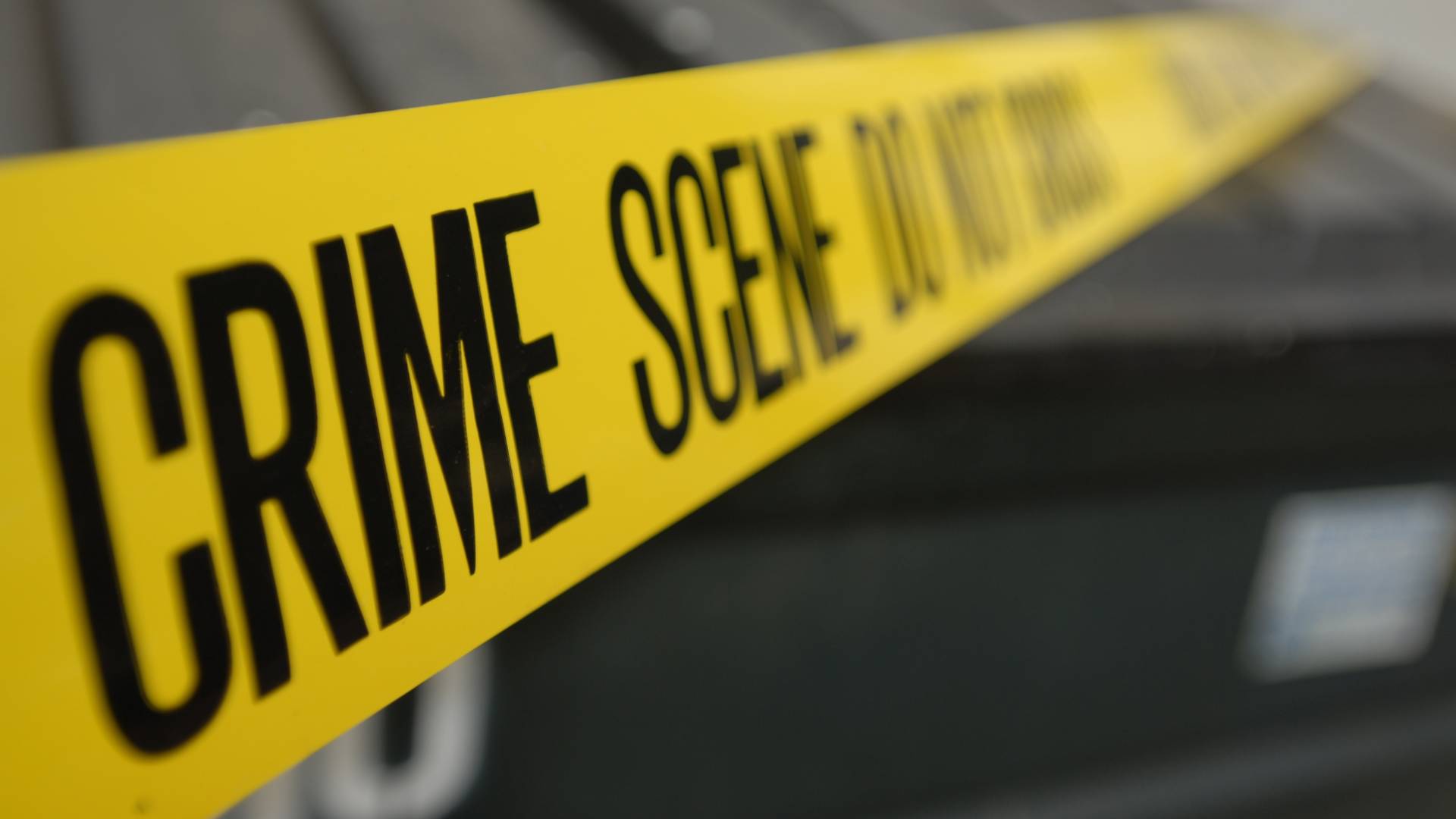 Image 1 from gallery