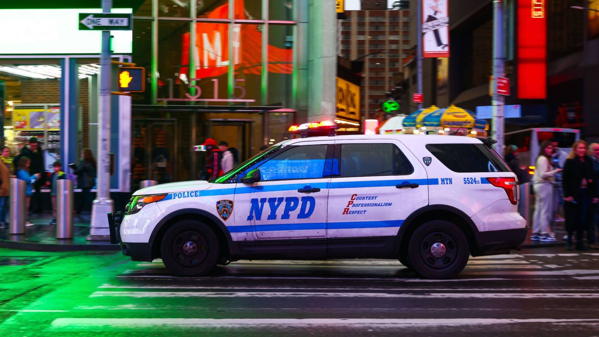 Image 1 from gallery