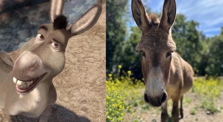 Donkey from “Shrek” dies aged 30