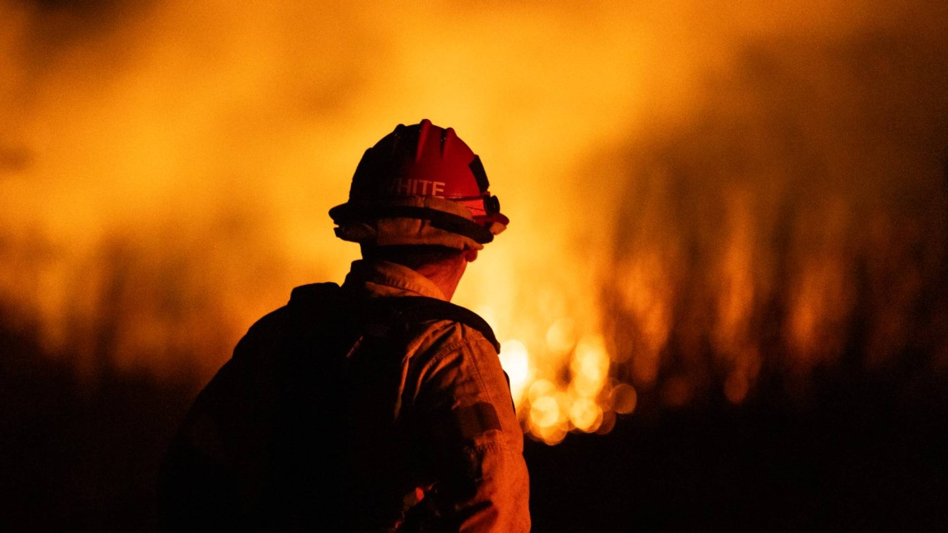 Image 1 from gallery