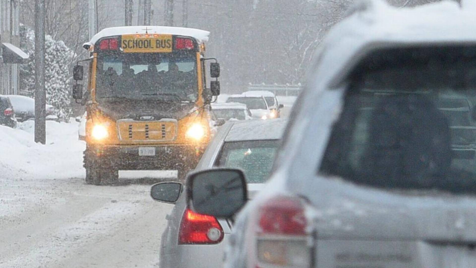 Image 1 from gallery