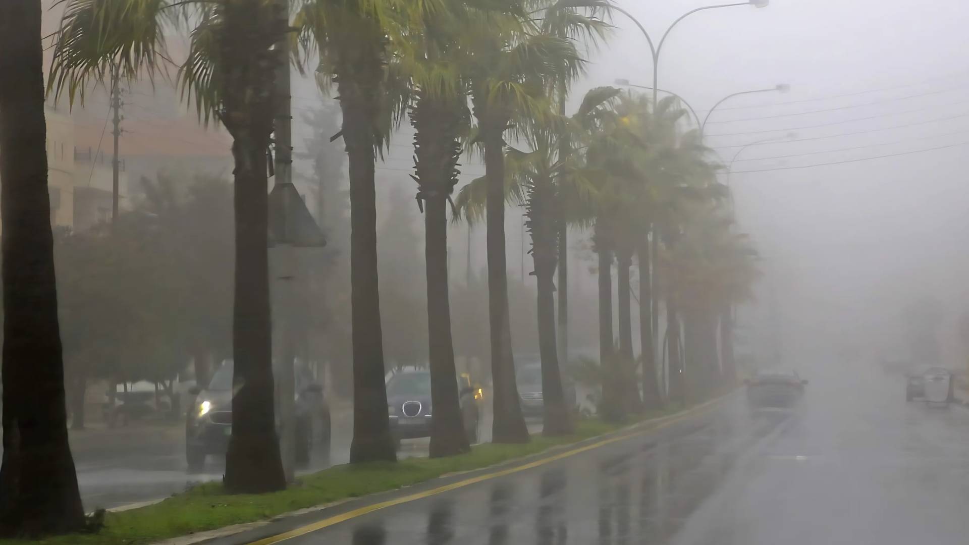 Image 1 from gallery