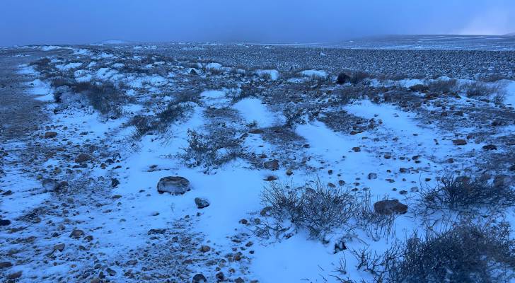 Exceptionally low temperatures next week in Jordan