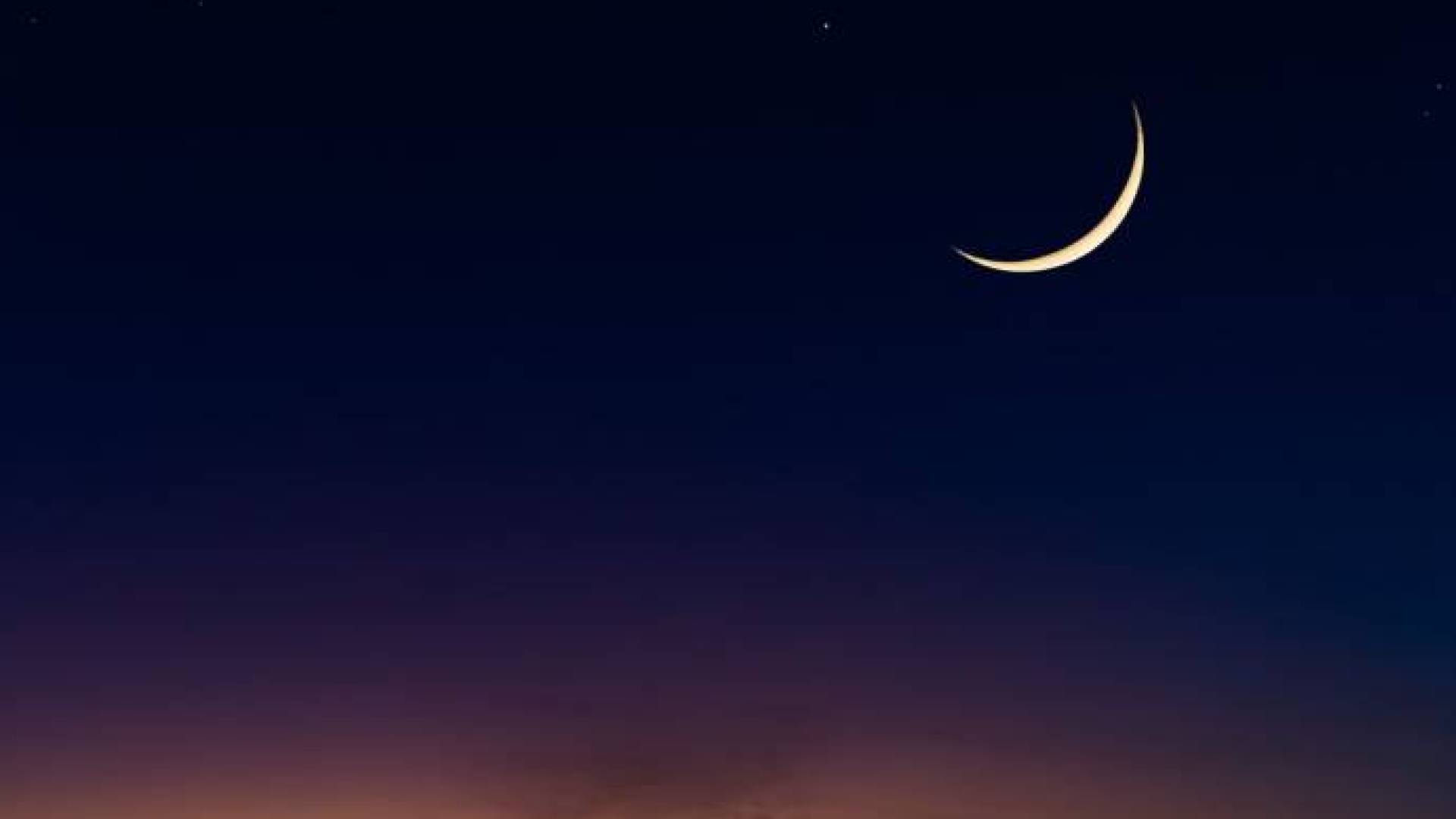 Image 1 from gallery