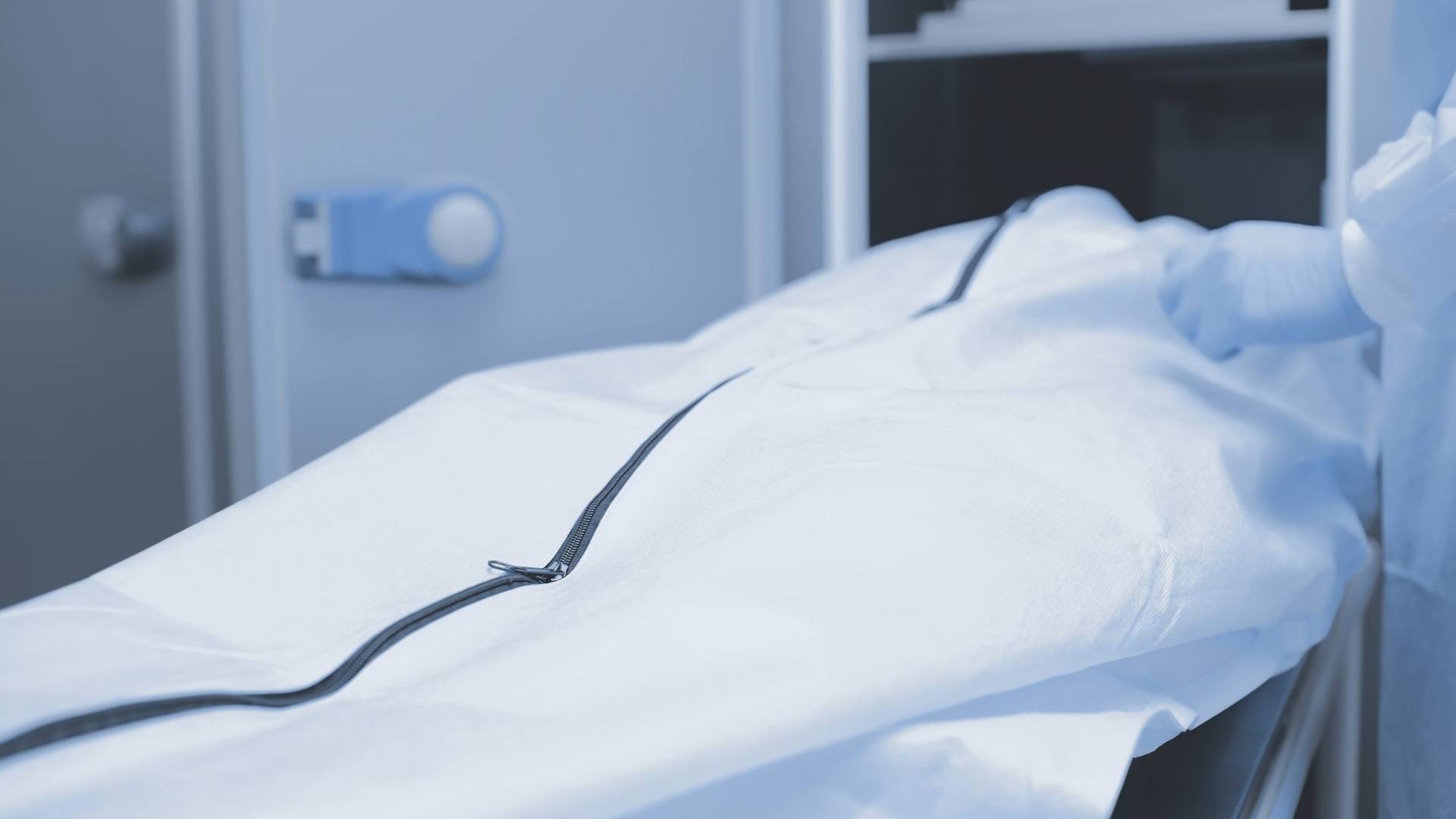 Image 1 from gallery