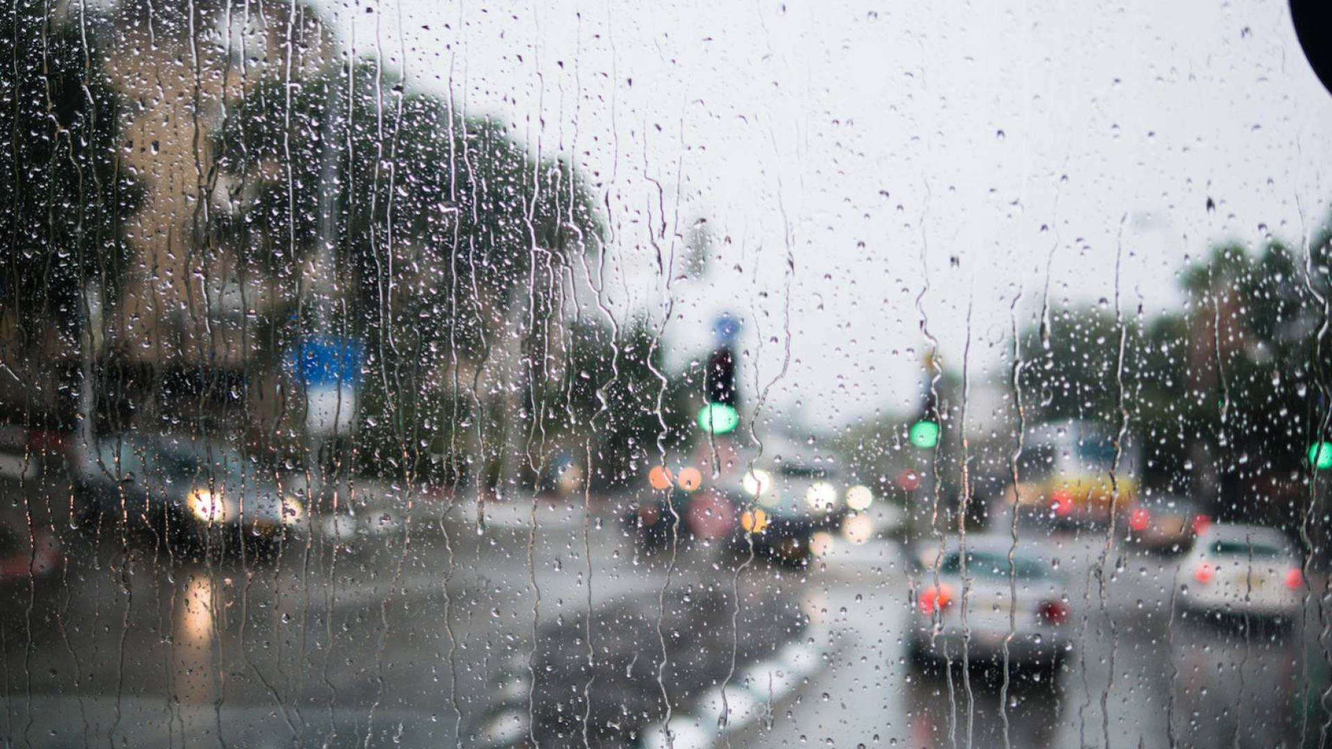 Image 1 from gallery