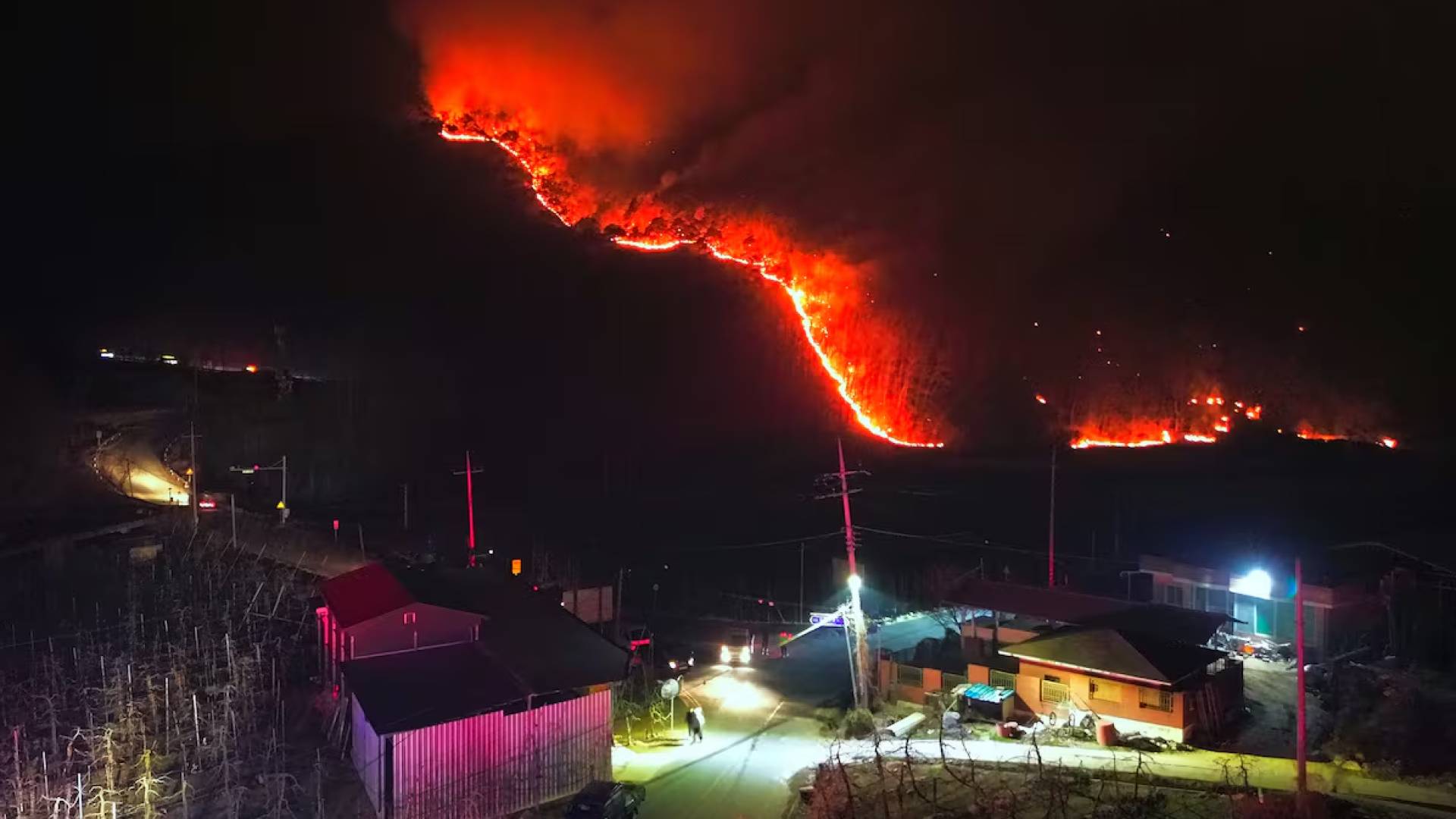 Image 1 from gallery