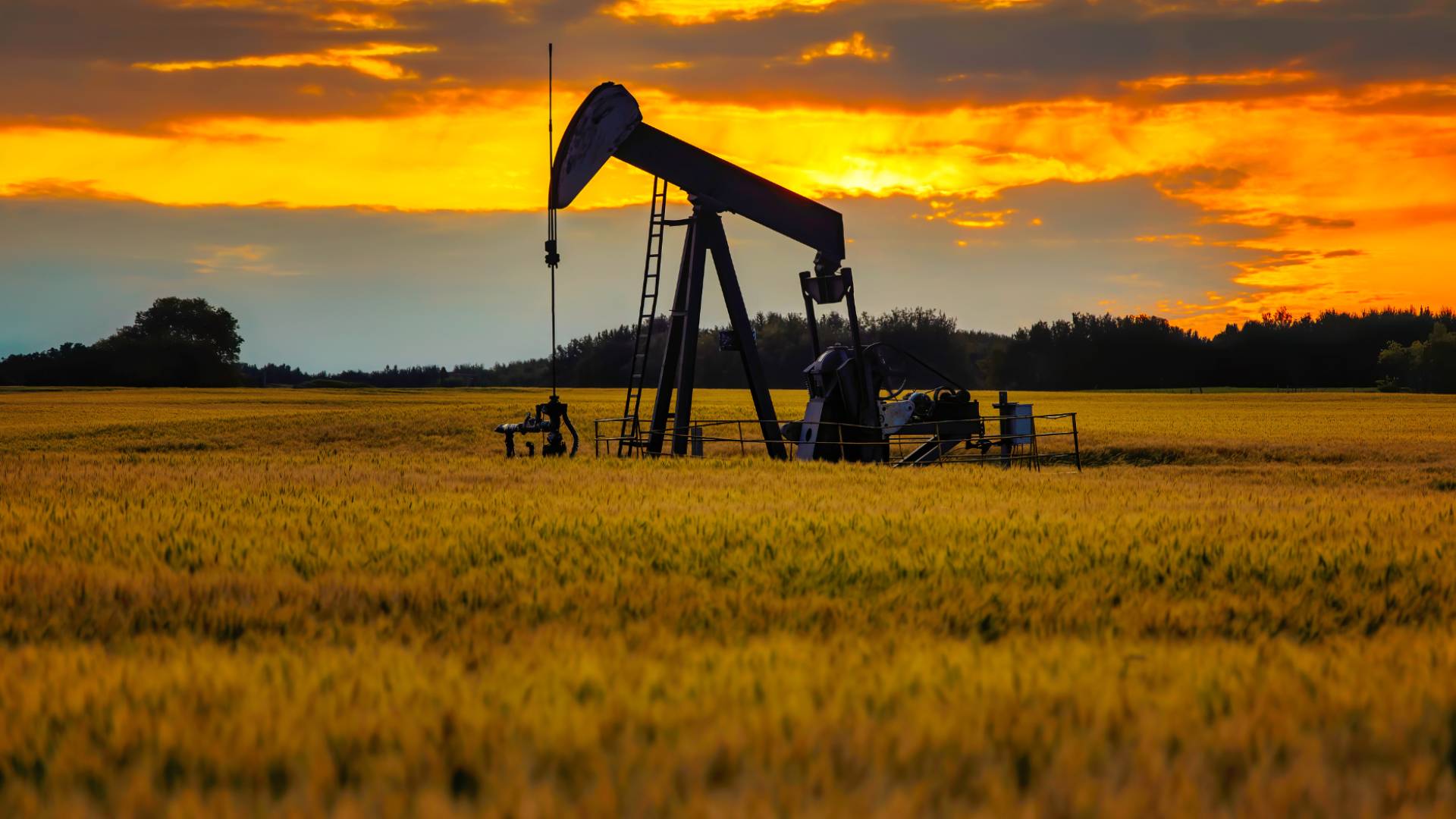 Image 1 from gallery