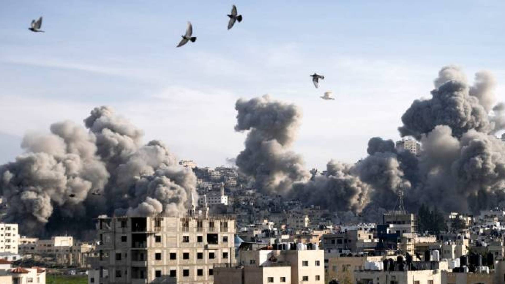 Image 1 from gallery