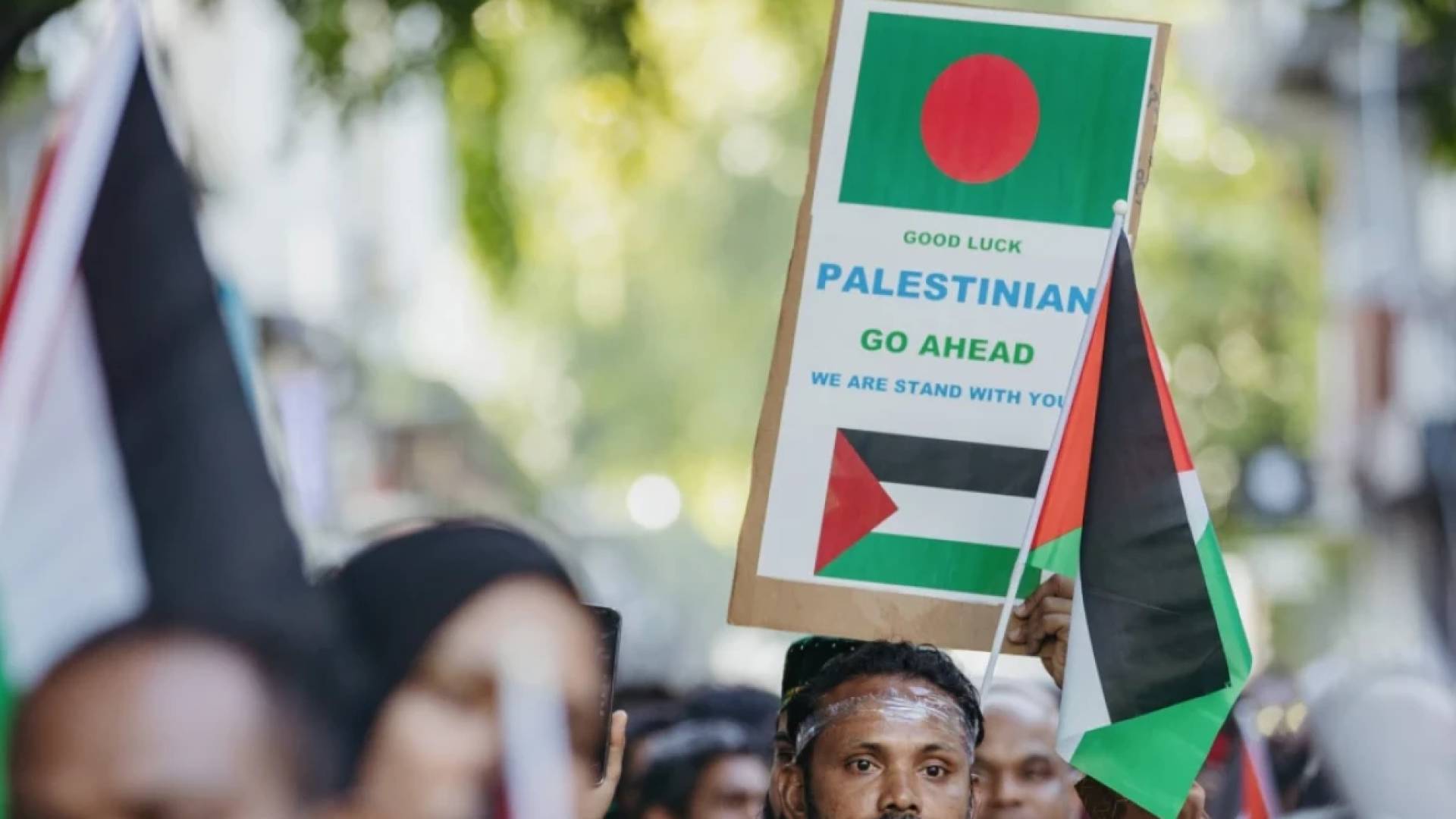 Image 1 from gallery