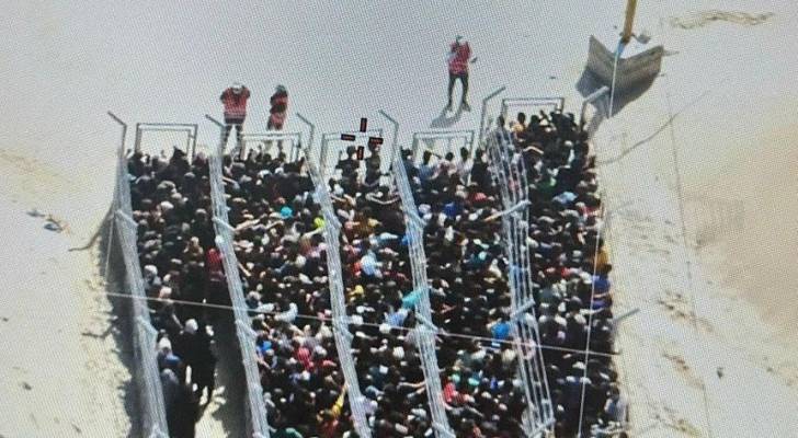 ‘Just like Auschwitz’: Aerial footage of Gaza aid lines sparks outrage