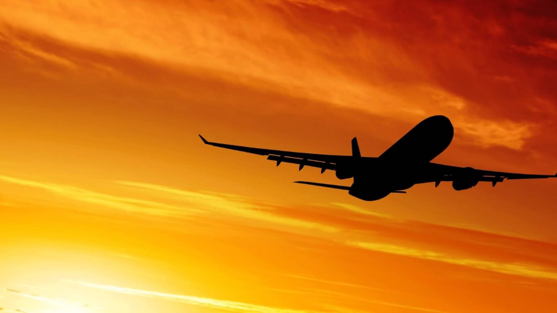 Image 1 from gallery