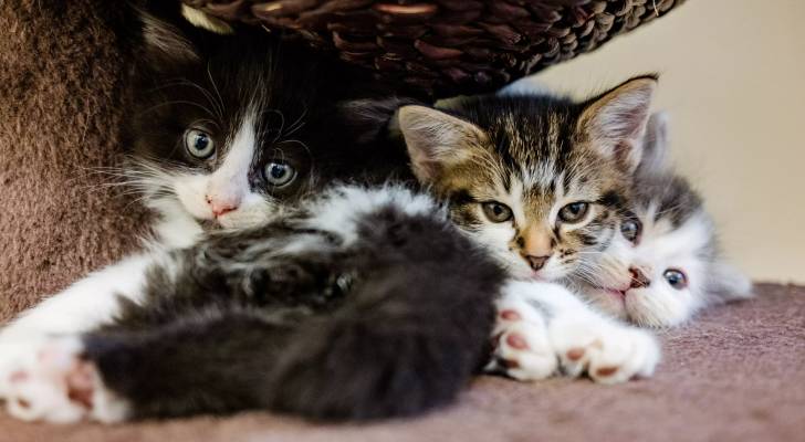 Image 1 from gallery