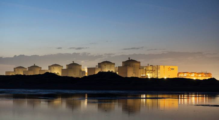 Jellyfish force French nuclear plant to shutdown