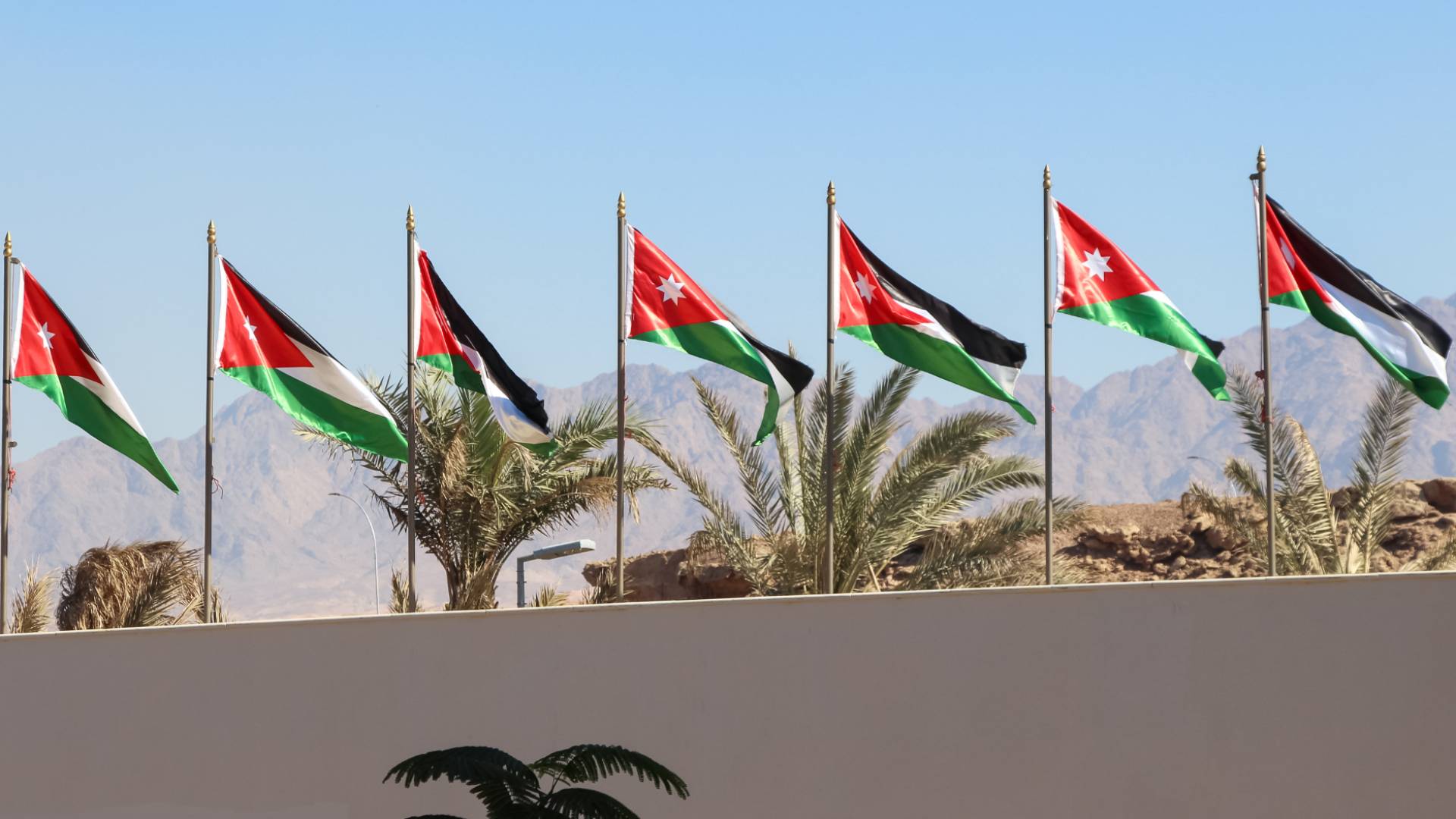 Image 1 from gallery