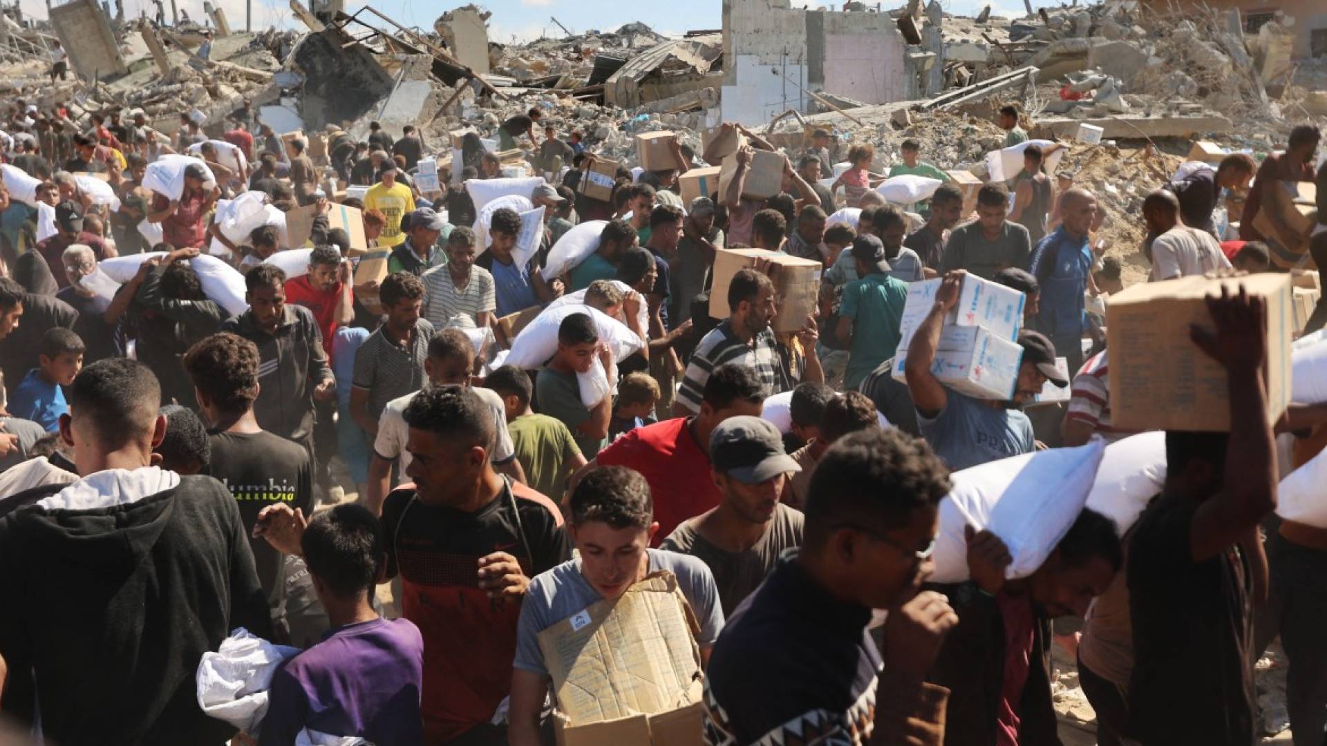 Image 1 from gallery