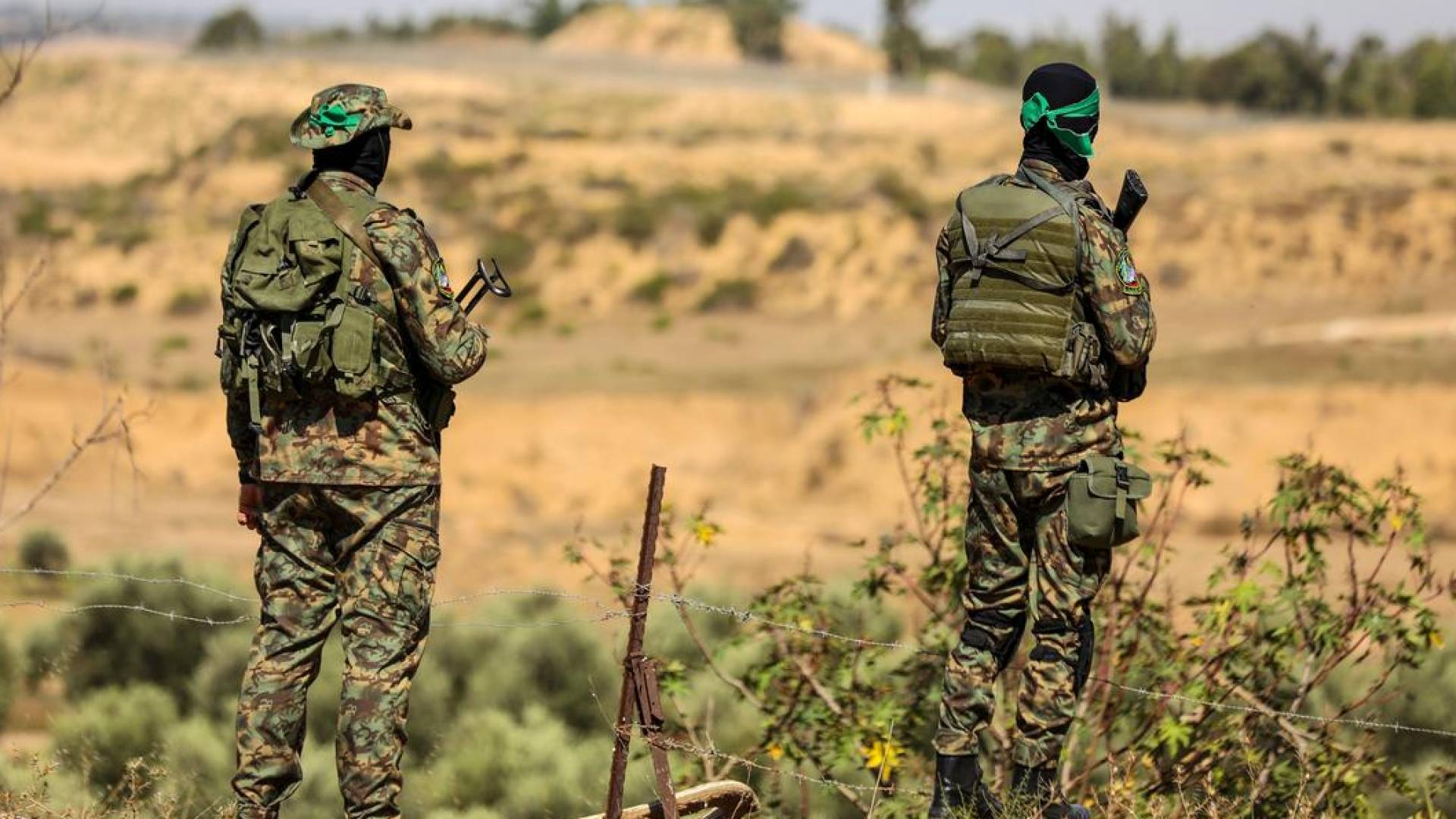 Image 1 from gallery