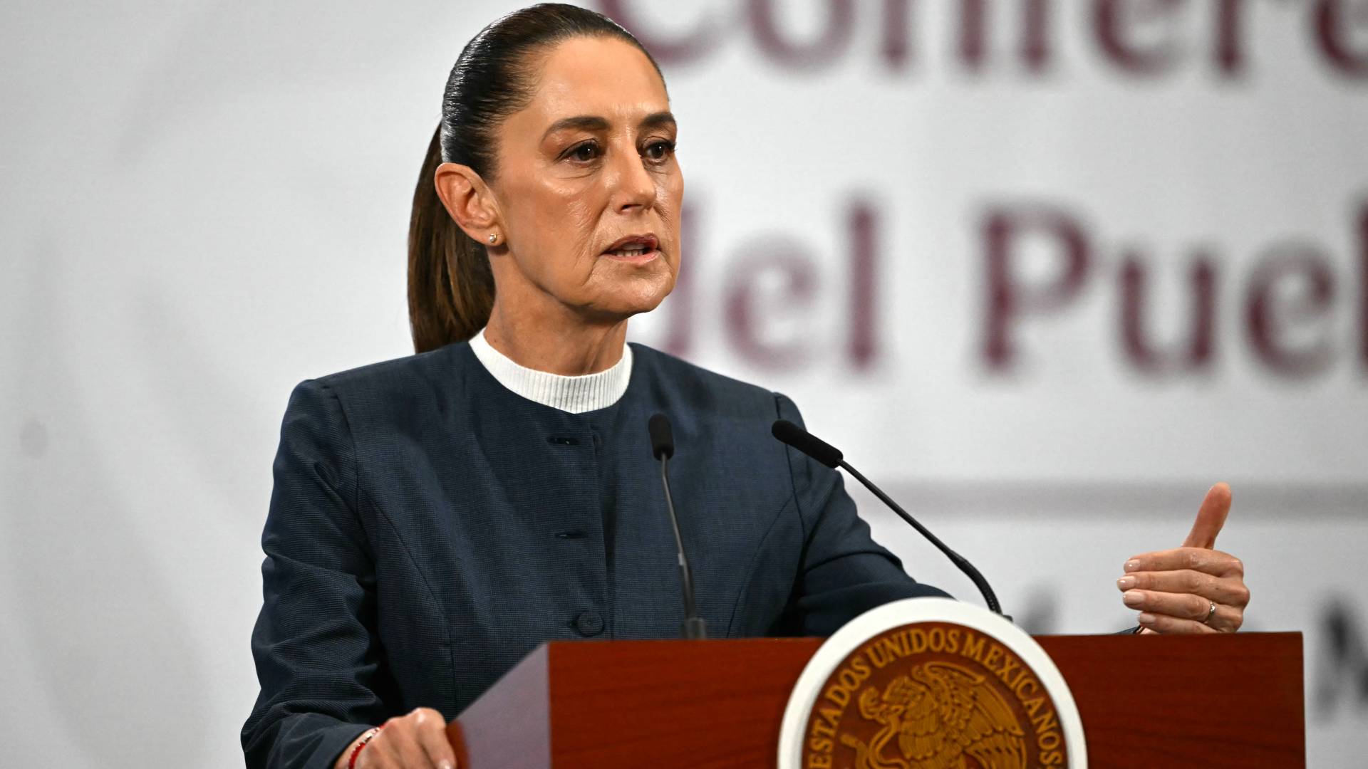 Image 1 from gallery