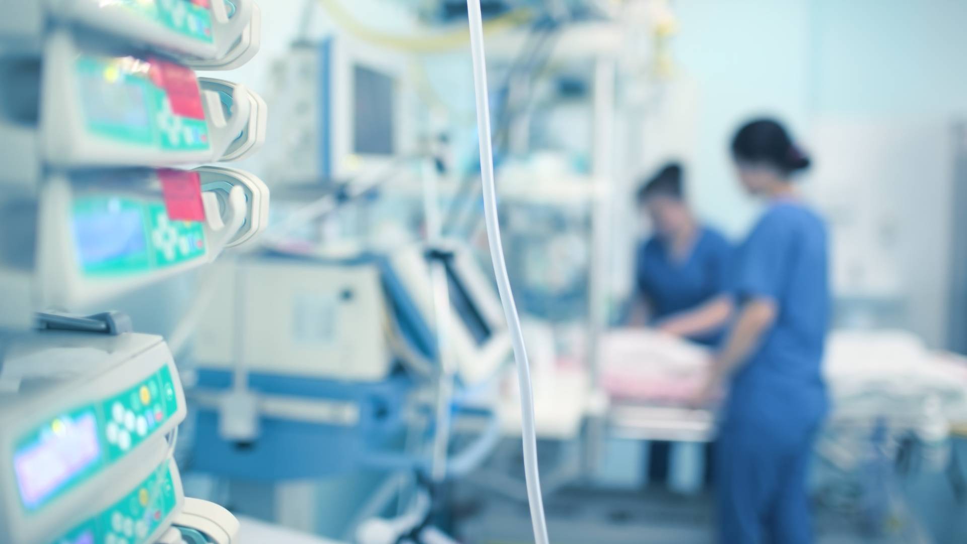 Image 1 from gallery