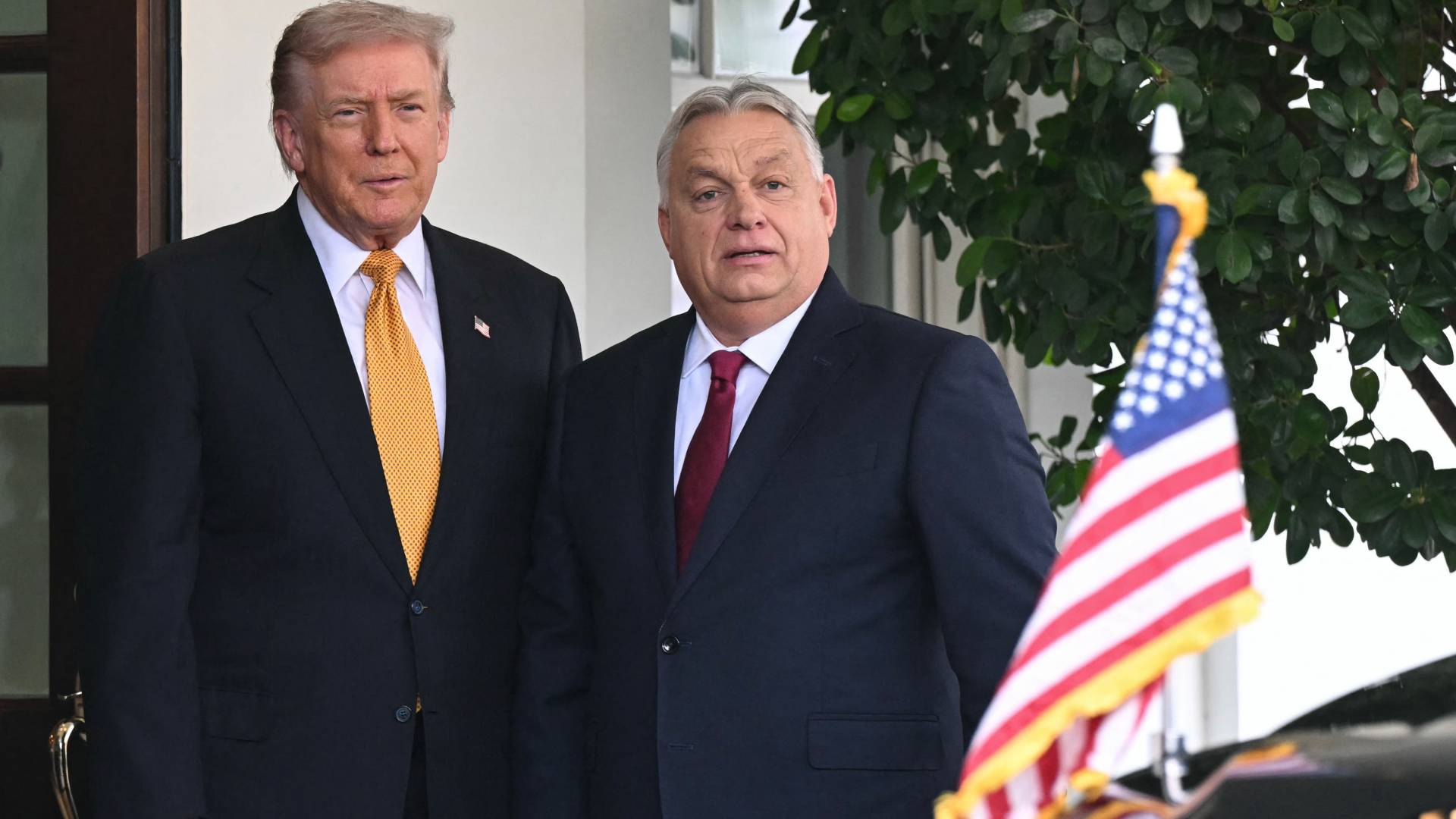 Image 1 from gallery