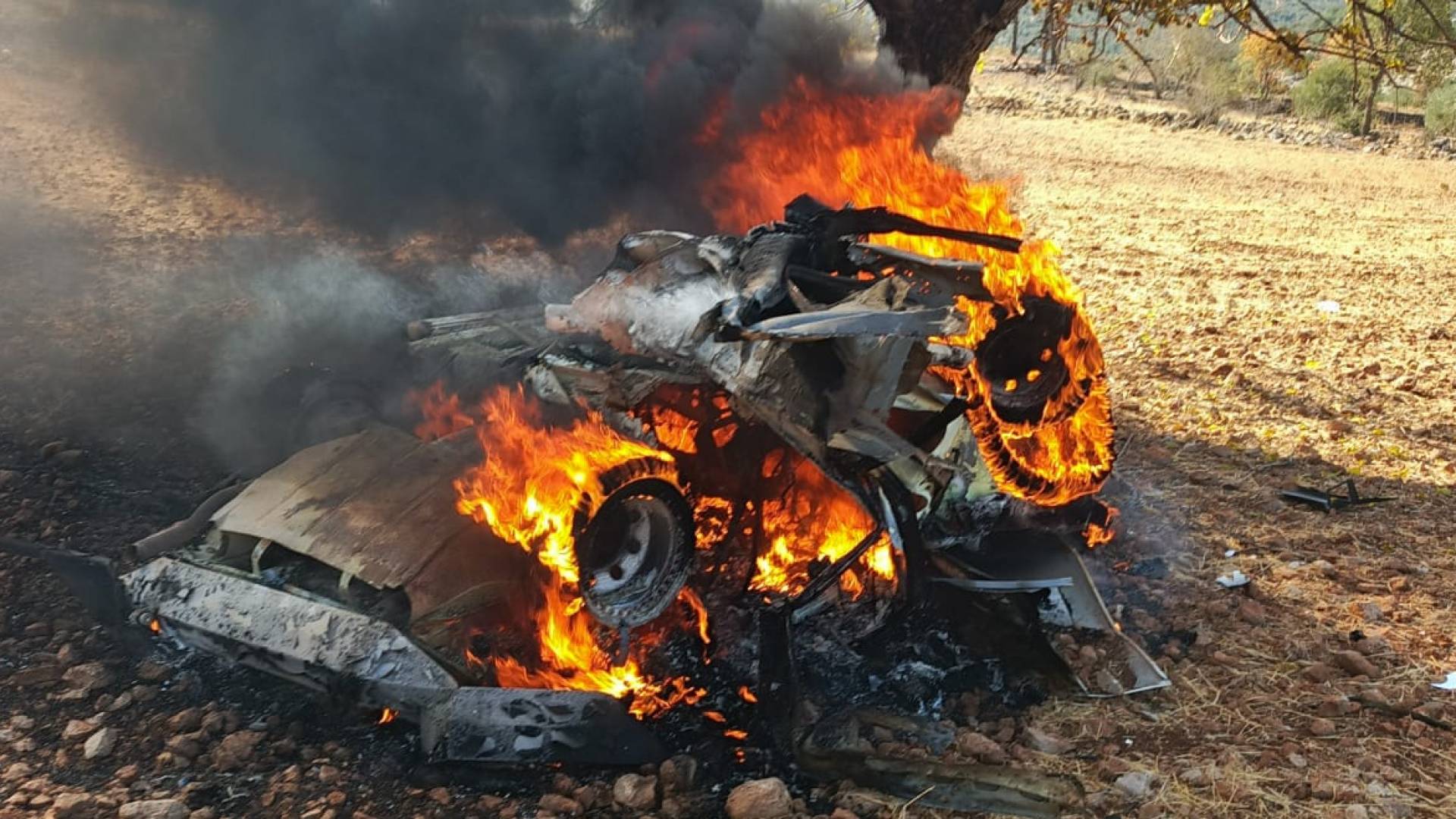 Image 1 from gallery