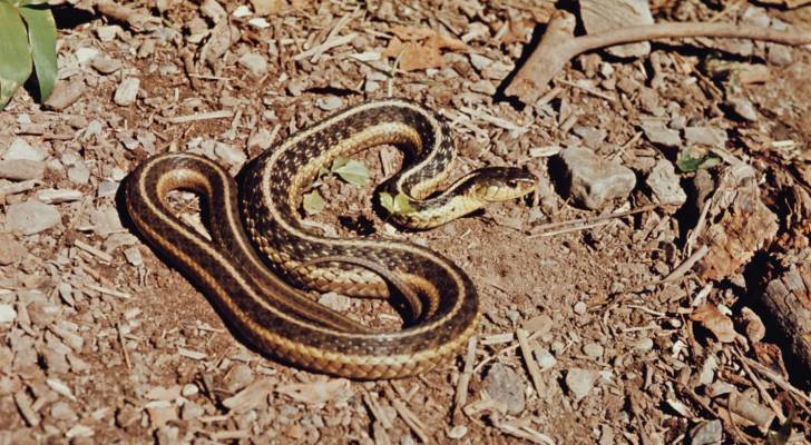 Image 1 from gallery