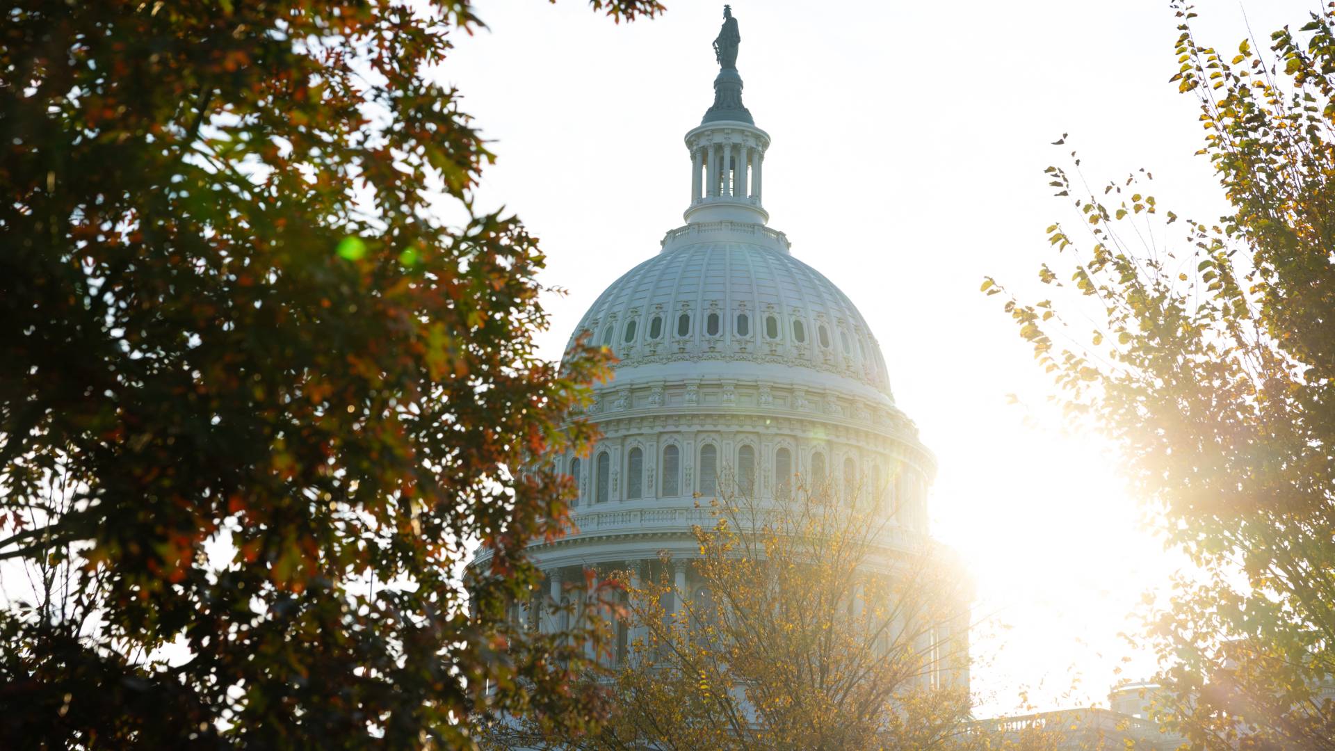 Image 1 from gallery