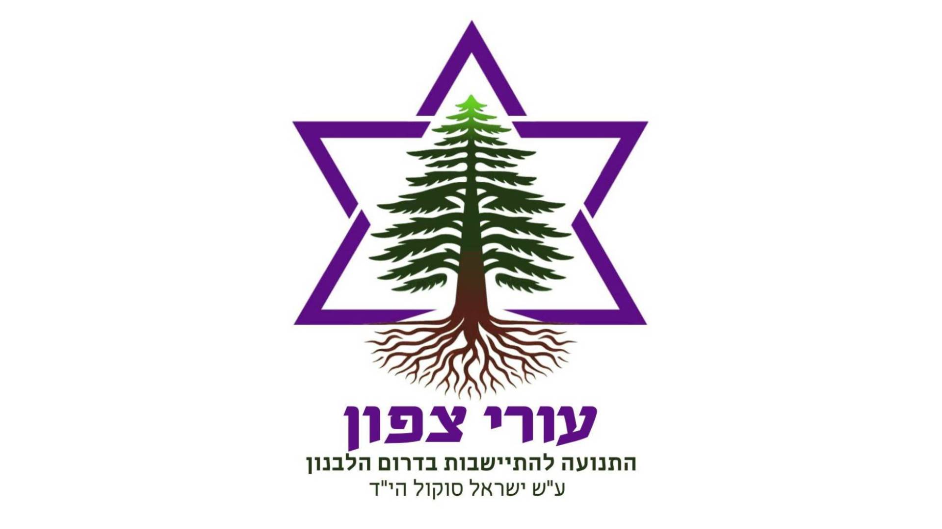 Image 1 from gallery