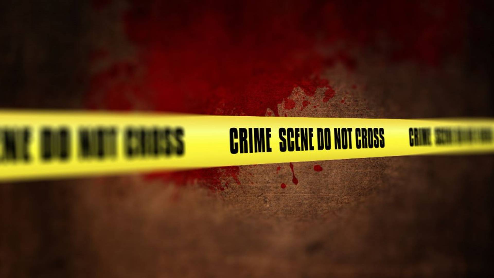 Image 1 from gallery