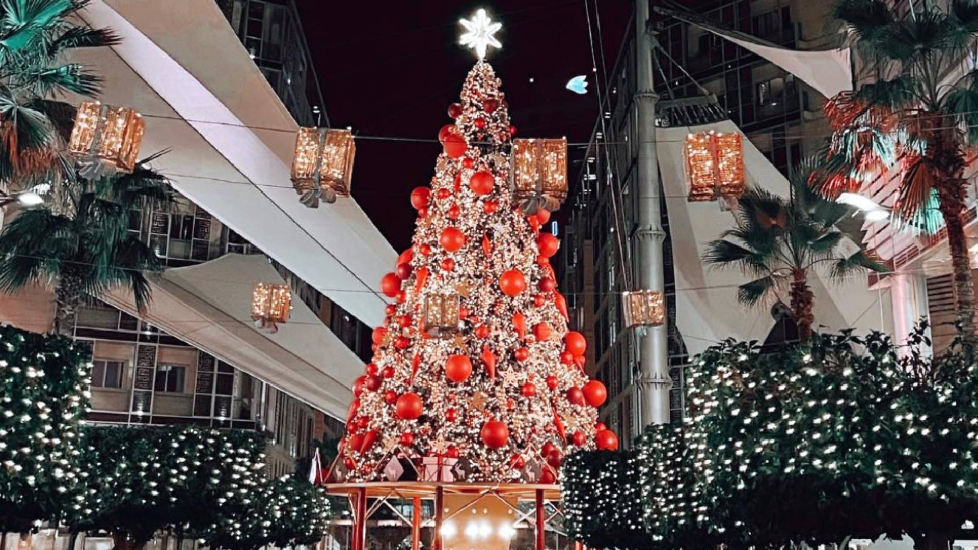 Image 1 from gallery