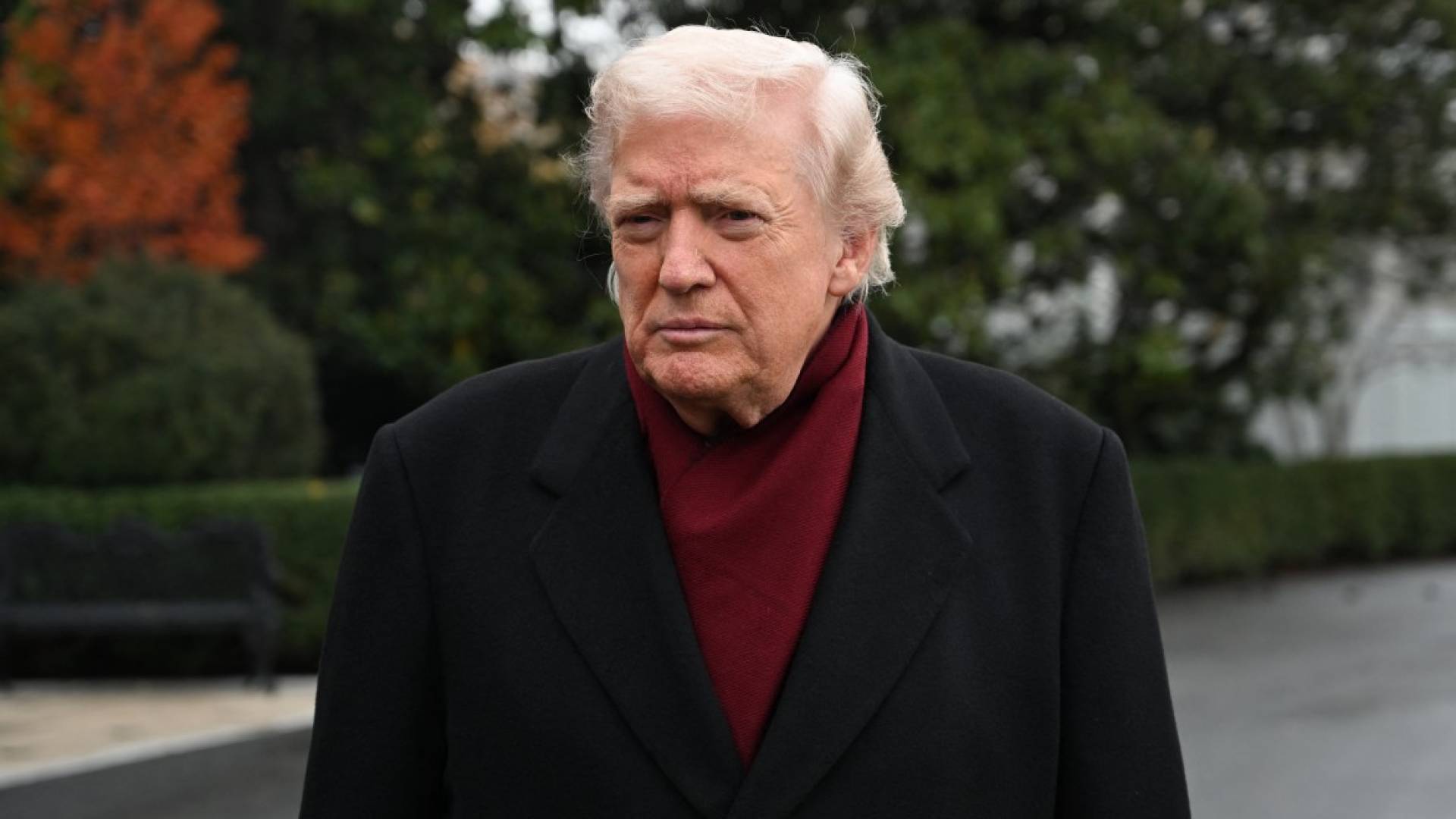 Image 1 from gallery