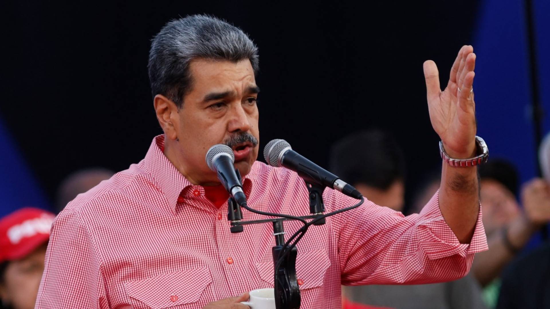 Image 1 from gallery