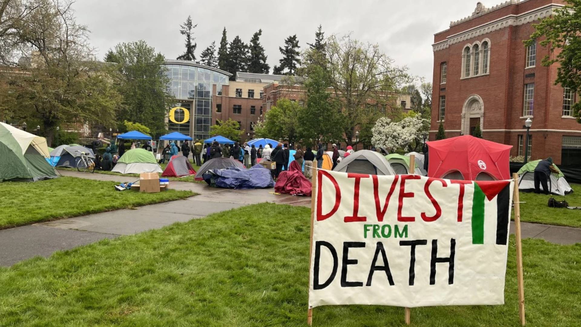 Image 1 from gallery