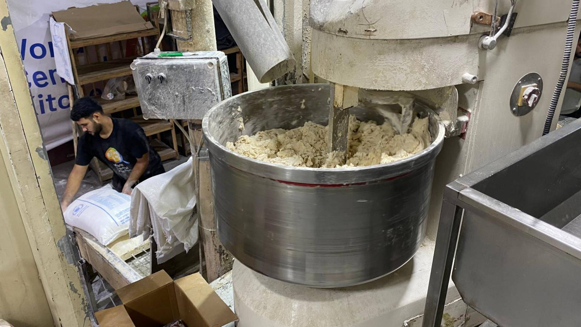 Image 4 from gallery