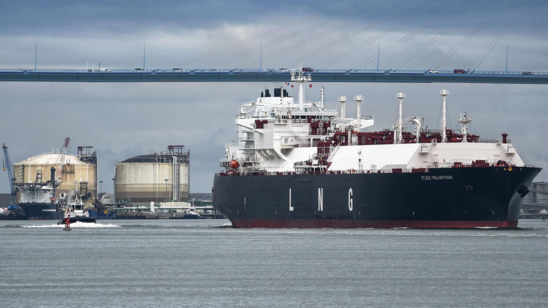 Image 1 from gallery