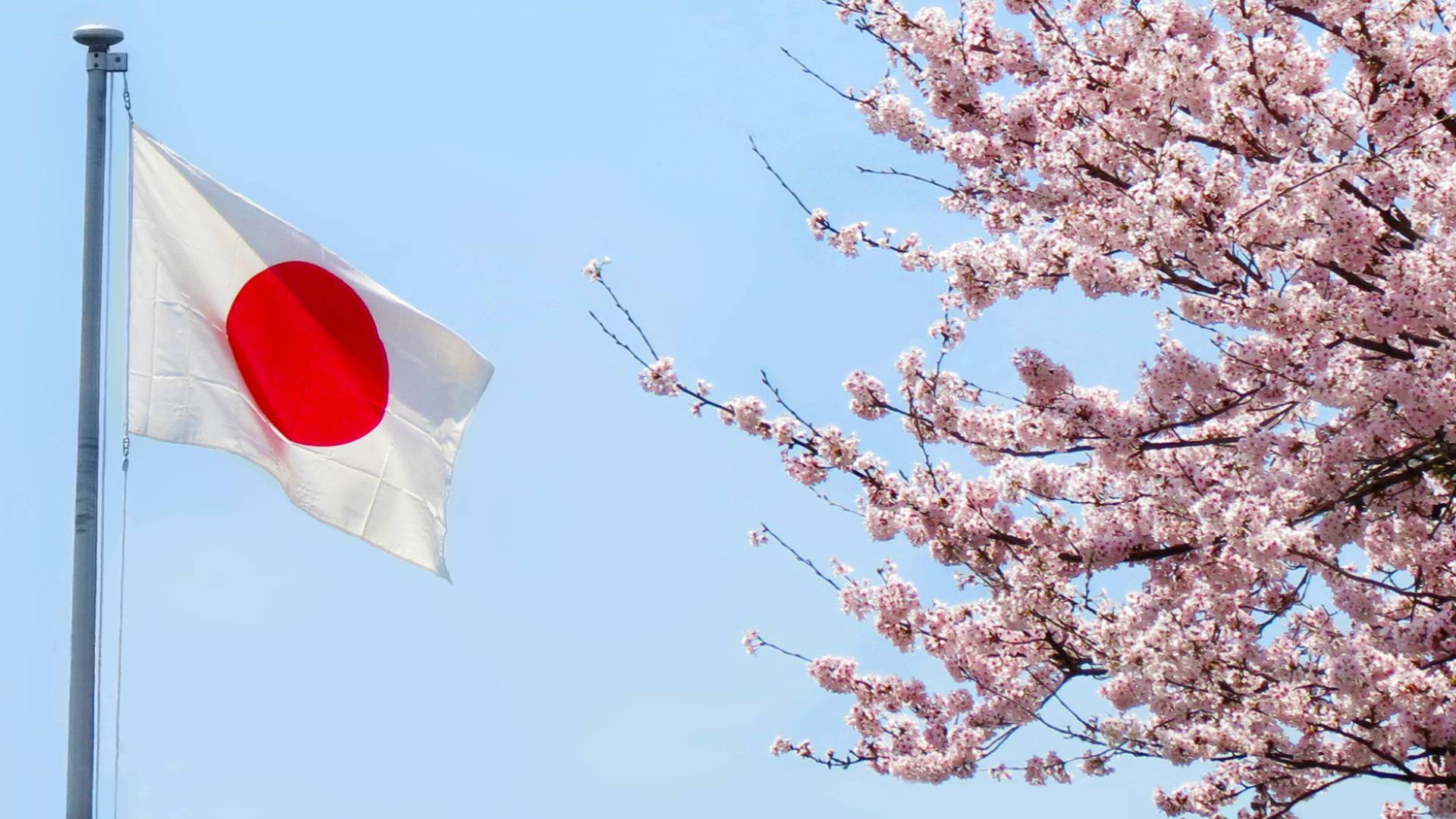 Image 1 from gallery