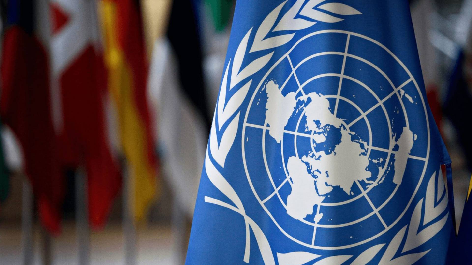 Image 1 from gallery