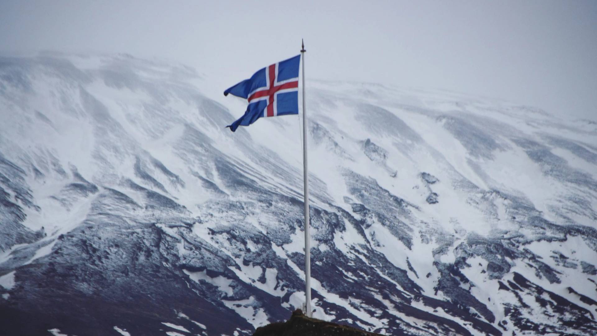 Image 1 from gallery