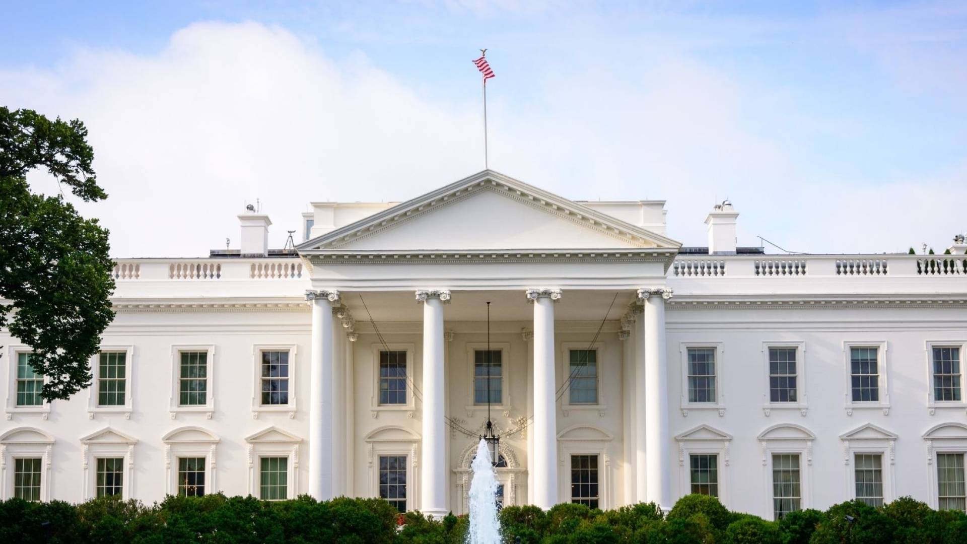 Image 1 from gallery